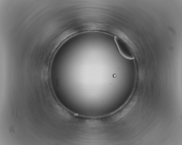 X0000114161089200910151601