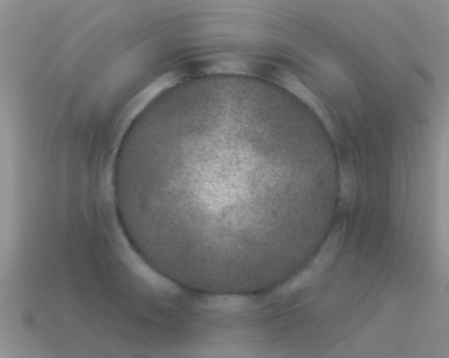 X0000114161090200910151601