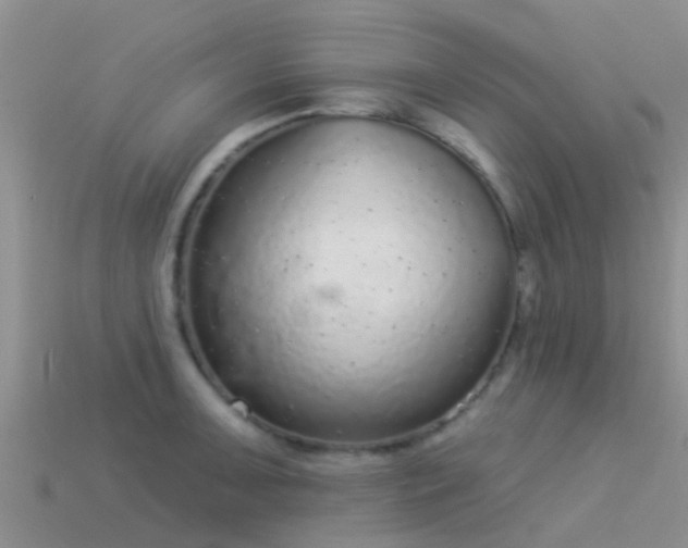 X0000114161091200910151601