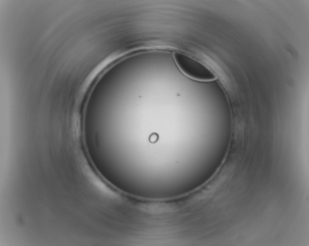 X0000114161092200910151601