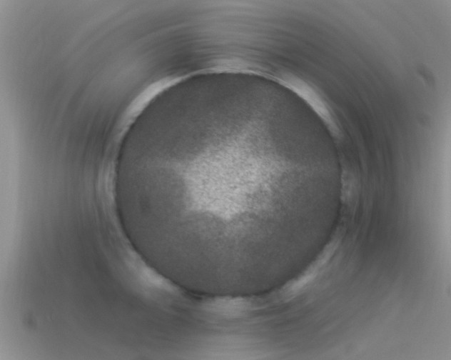 X0000114161094200910151601