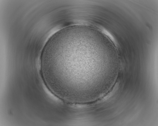 X0000114161095200910151601