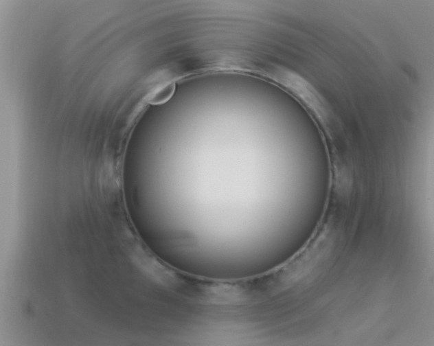 X0000114161097200910151601