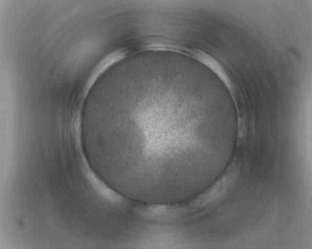 X0000114161098200910151601