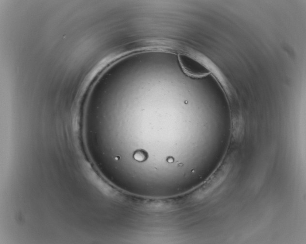 X0000114161099200910151601