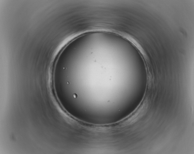 X0000114161101200910151601