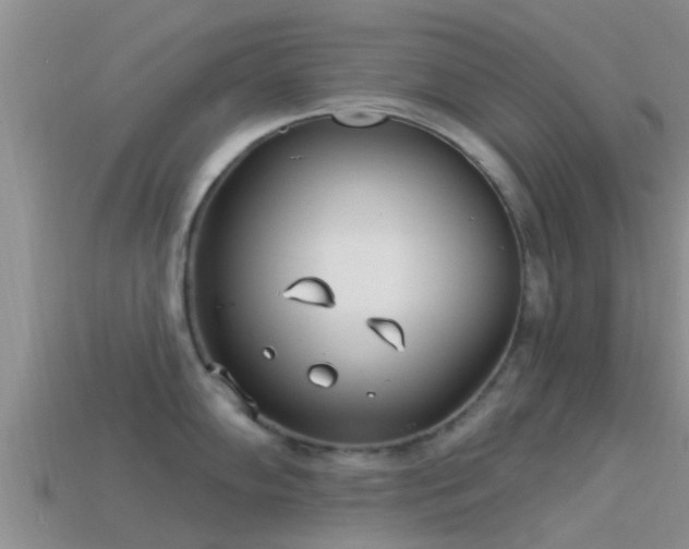 X0000114161102200910151601