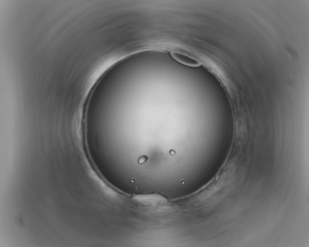 X0000114161103200910151601