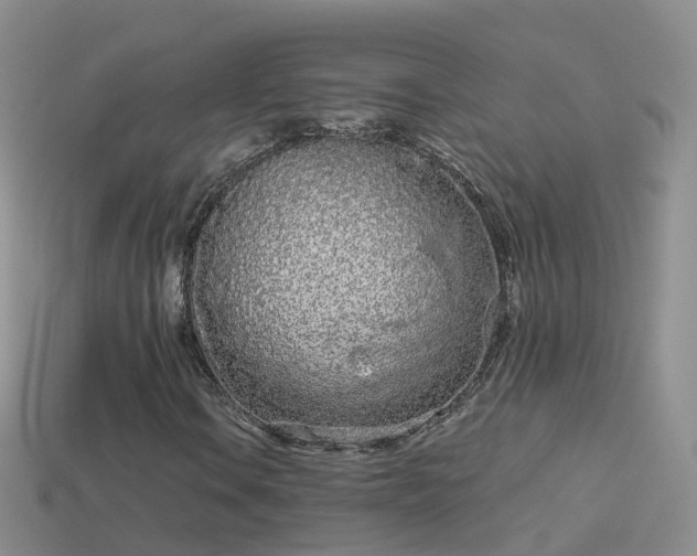 X0000114161106200910151600