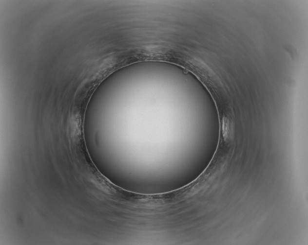 X0000114161107200910151600