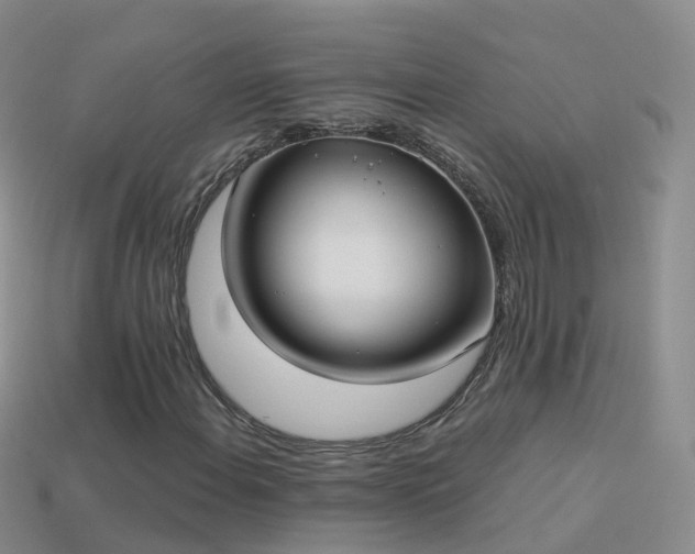 X0000114161108200910151600