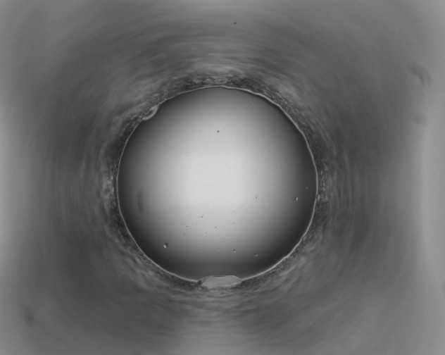 X0000114161109200910151600