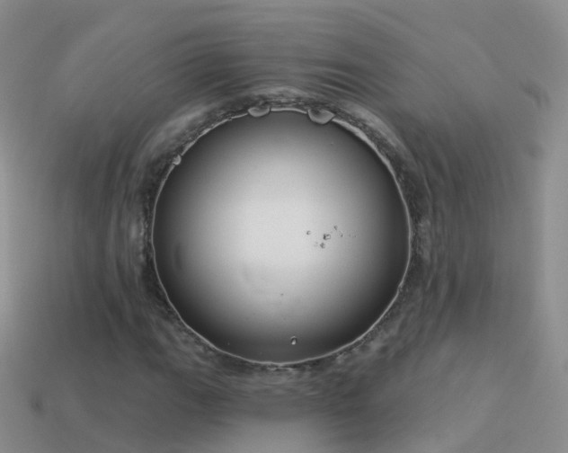 X0000114161111200910151600