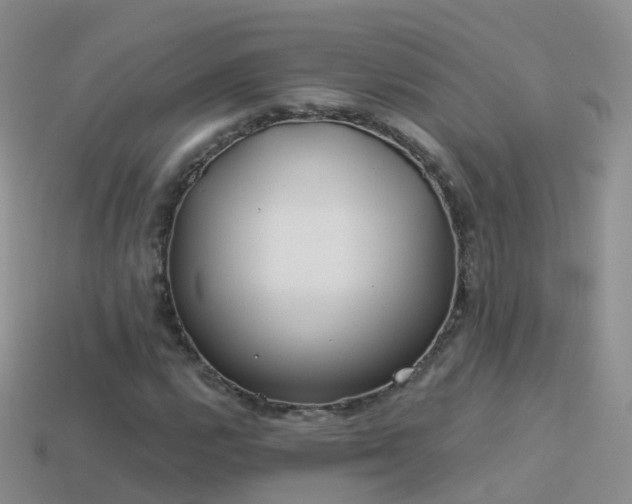 X0000114161112200910151600