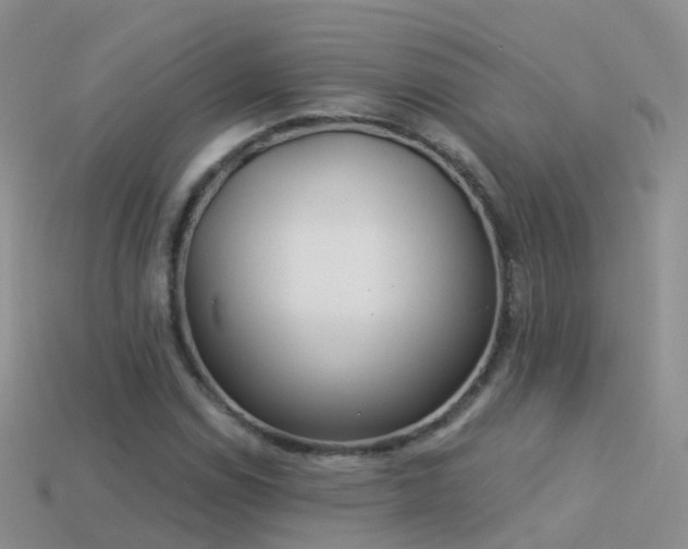 X0000114161114200910151600