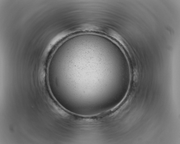 X0000114161115200910151600