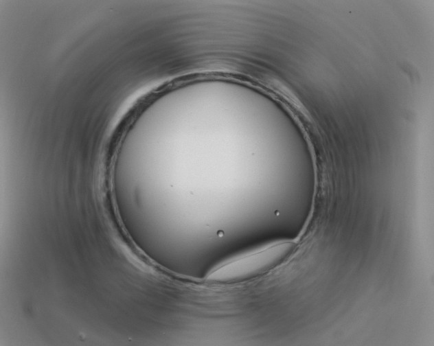 X0000114161116200910151600