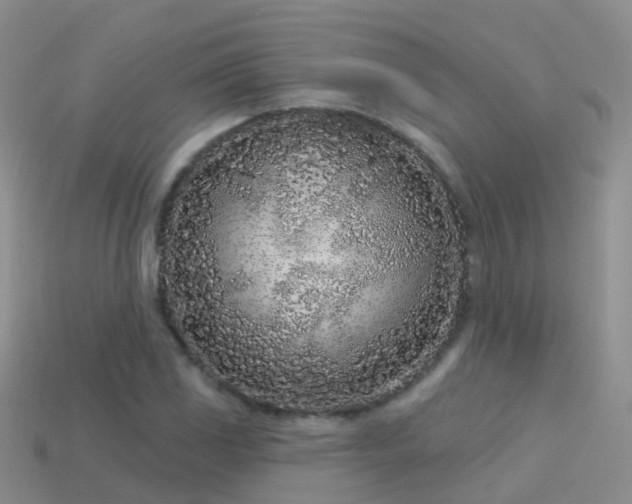 X0000114161117200910151600