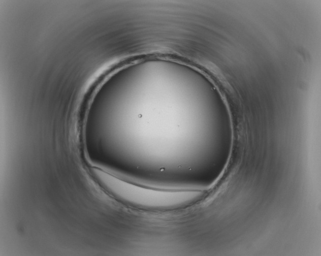 X0000114161118200910151600