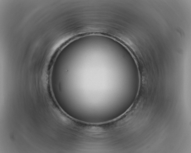 X0000114161119200910151600