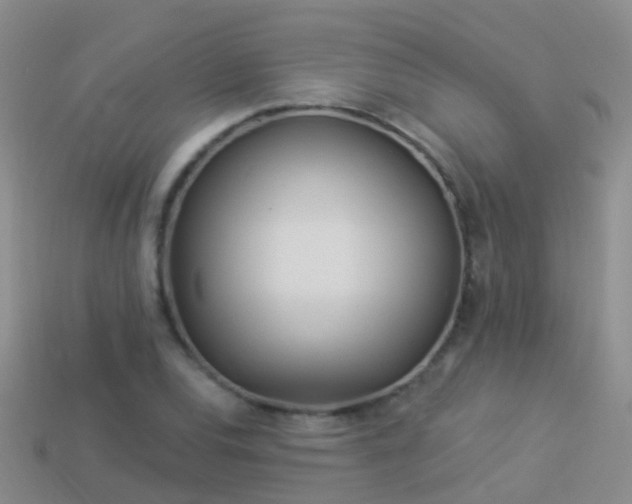 X0000114161120200910151600