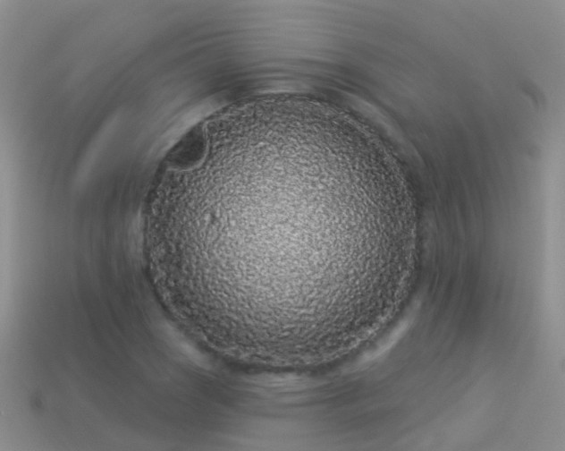 X0000114161121200910151600