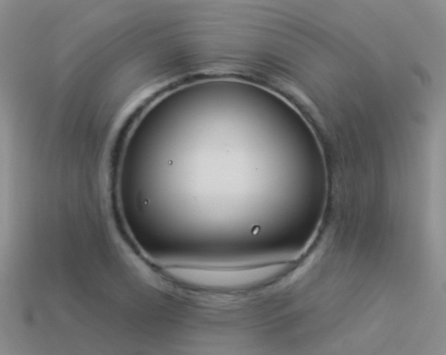 X0000114161122200910151600