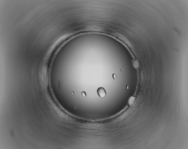 X0000114161123200910151600