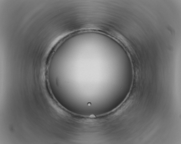 X0000114161124200910151600