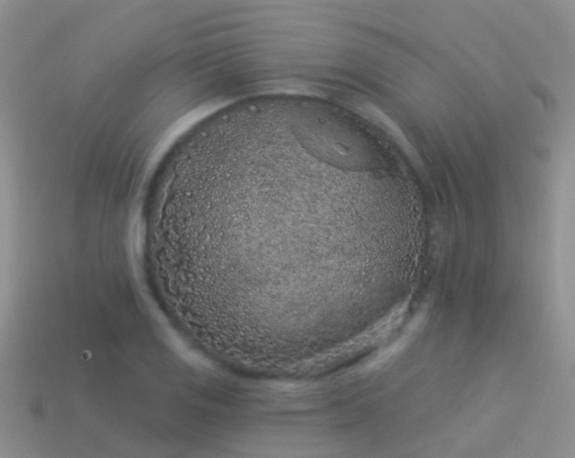 X0000114161125200910151600