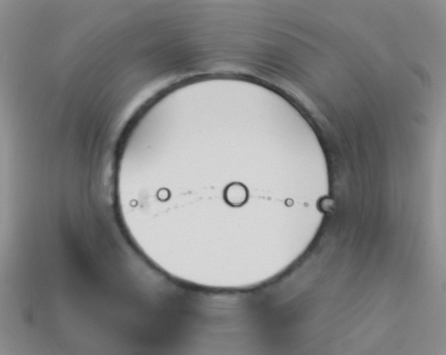 X0000114161126200910151600