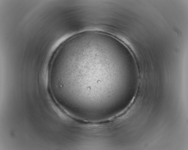 X0000114161127200910151600