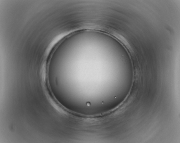 X0000114161128200910151600