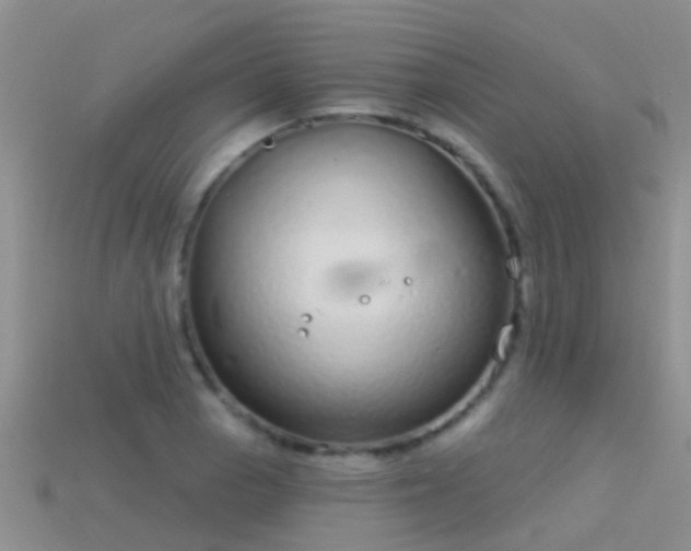 X0000114161129200910151600