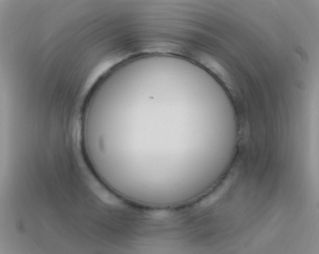 X0000114161130200910151600