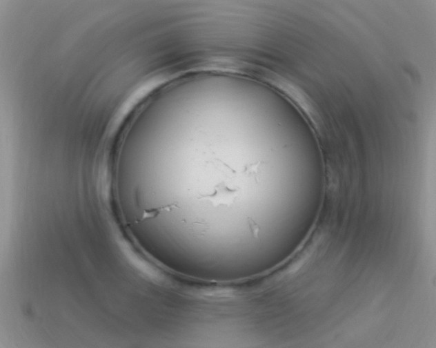 X0000114161131200910151600