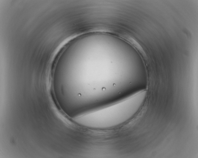 X0000114161132200910151600