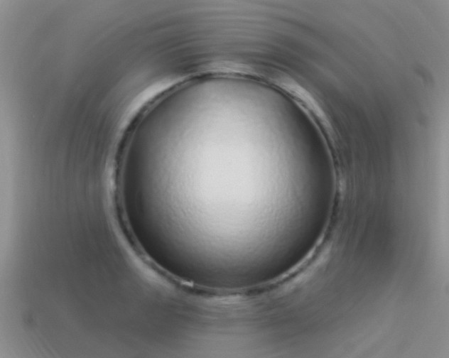 X0000114161133200910151600