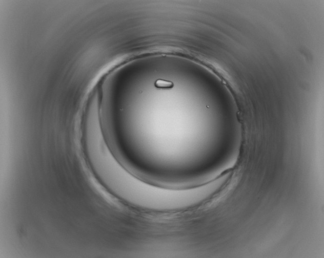 X0000114161134200910151600