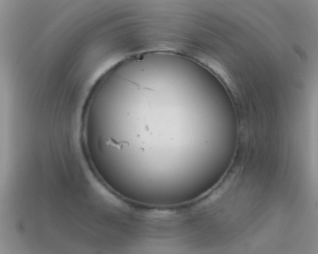 X0000114161135200910151600