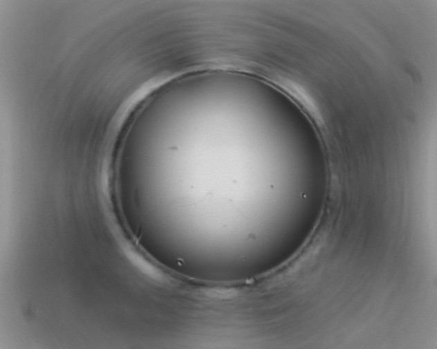 X0000114161136200910151600