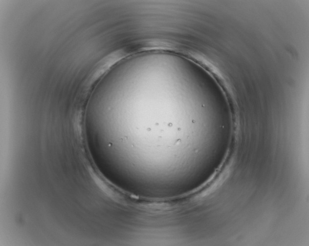 X0000114161137200910151600