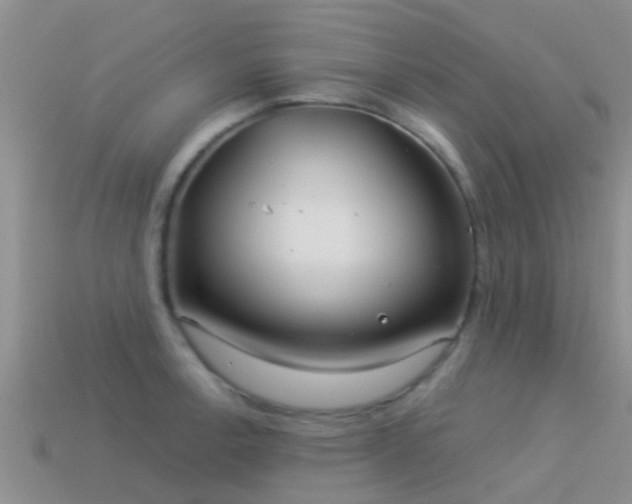 X0000114161138200910151600