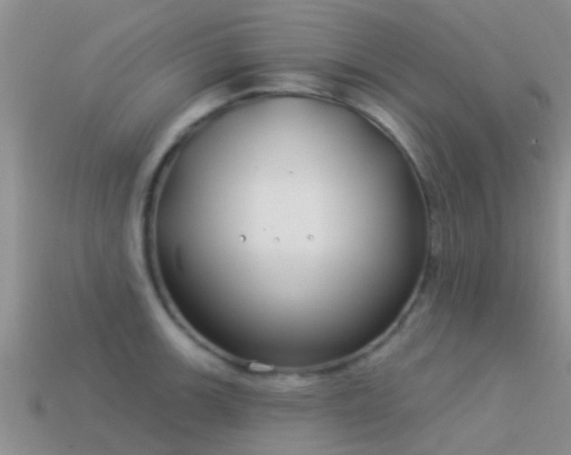 X0000114161139200910151600