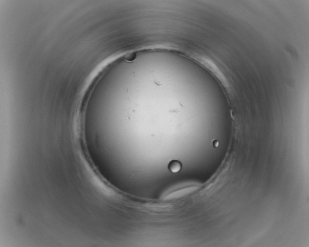 X0000114161140200910151600