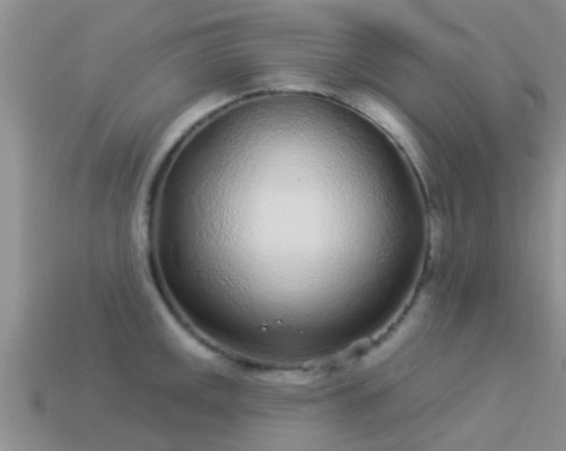 X0000114161141200910151600