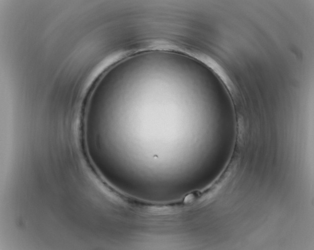 X0000114161142200910151600