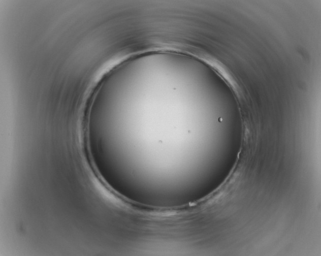 X0000114161143200910151600