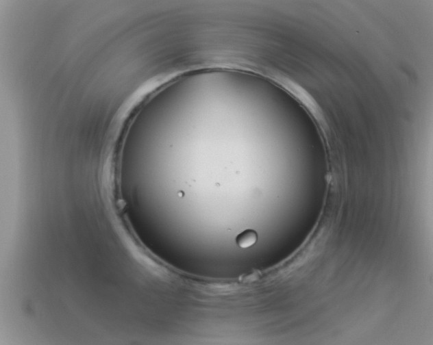 X0000114161144200910151600