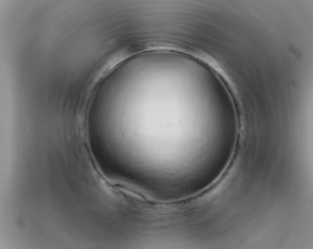 X0000114161145200910151600